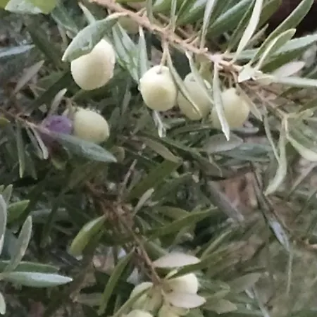 Manosque: Maison En Provence Avec Superbe Vue *