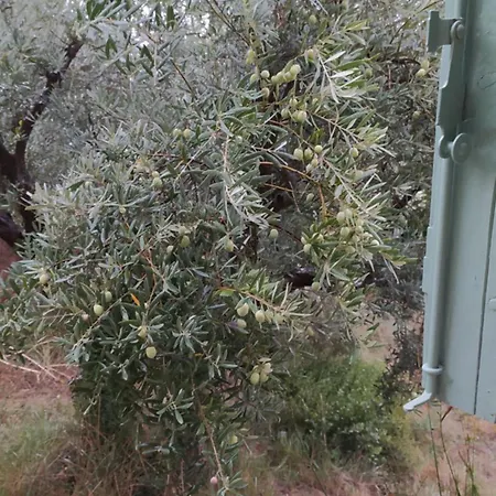 Manosque: Maison En Provence Avec Superbe Vue Manosque