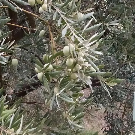 Villa Manosque: Maison En Provence Avec Superbe Vue