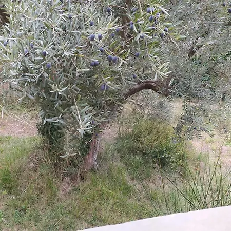 Manosque: Maison En Provence Avec Superbe Vue Villa