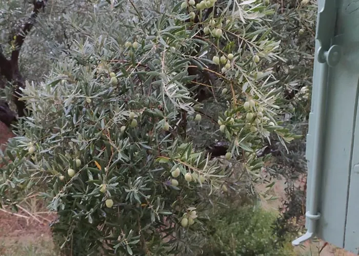 Manosque: Maison En Provence Avec Superbe Vue Manosque