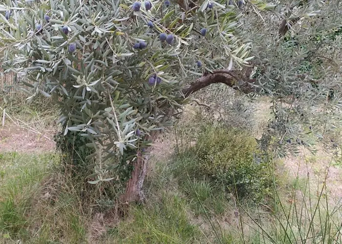 Manosque: Maison En Provence Avec Superbe Vue Villa